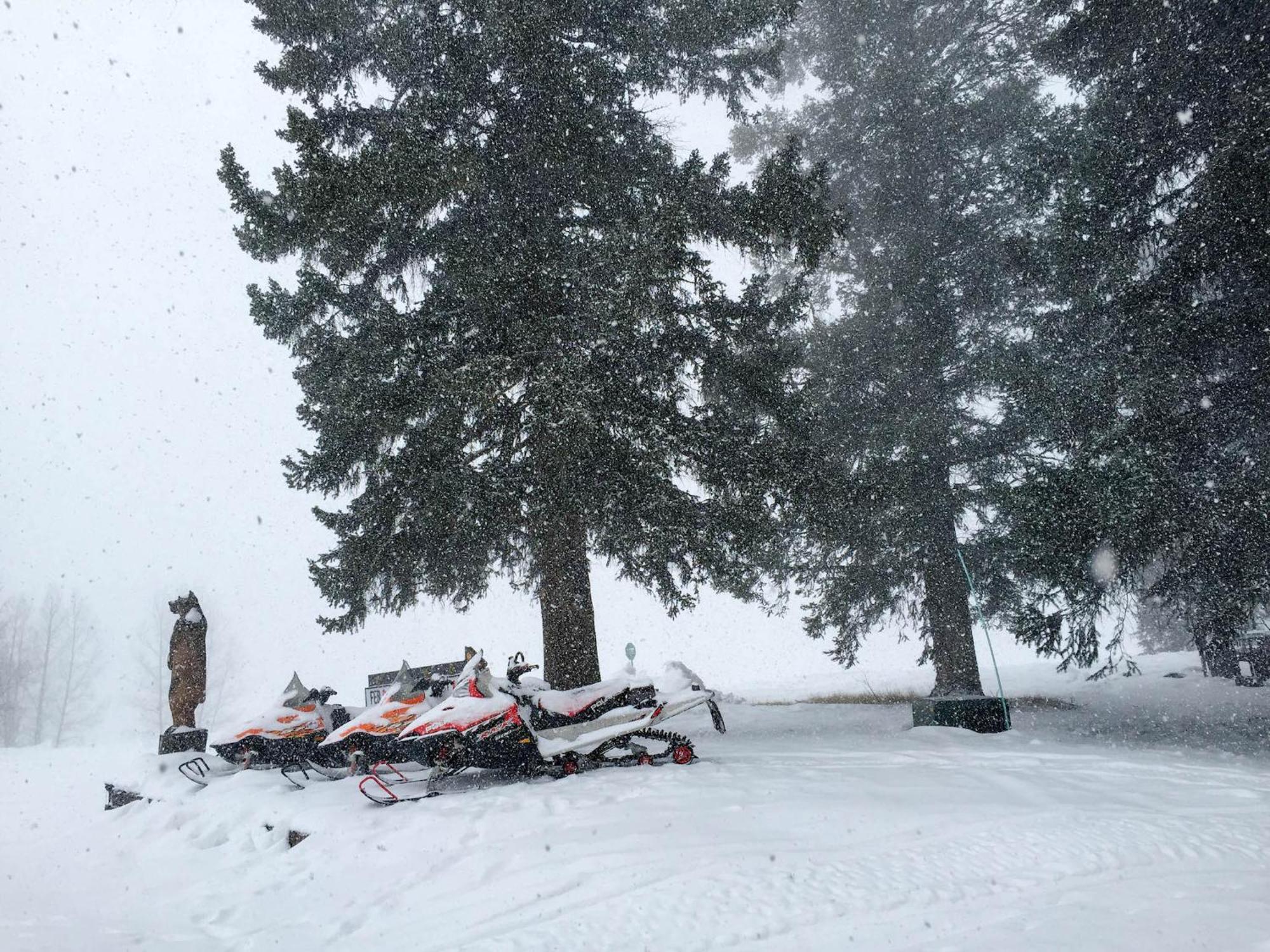Arrowhead Mountain Lodge Cimarron Rom bilde